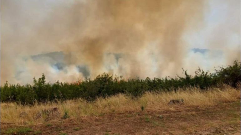 Φωτιά στην Πέλλα: Συνεχίζεται η μάχη με το πύρινο μέτωπο – Επιχειρούν επίγεια και εναέρια μέσα